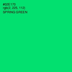 #02E170 - Spring Green Color Image